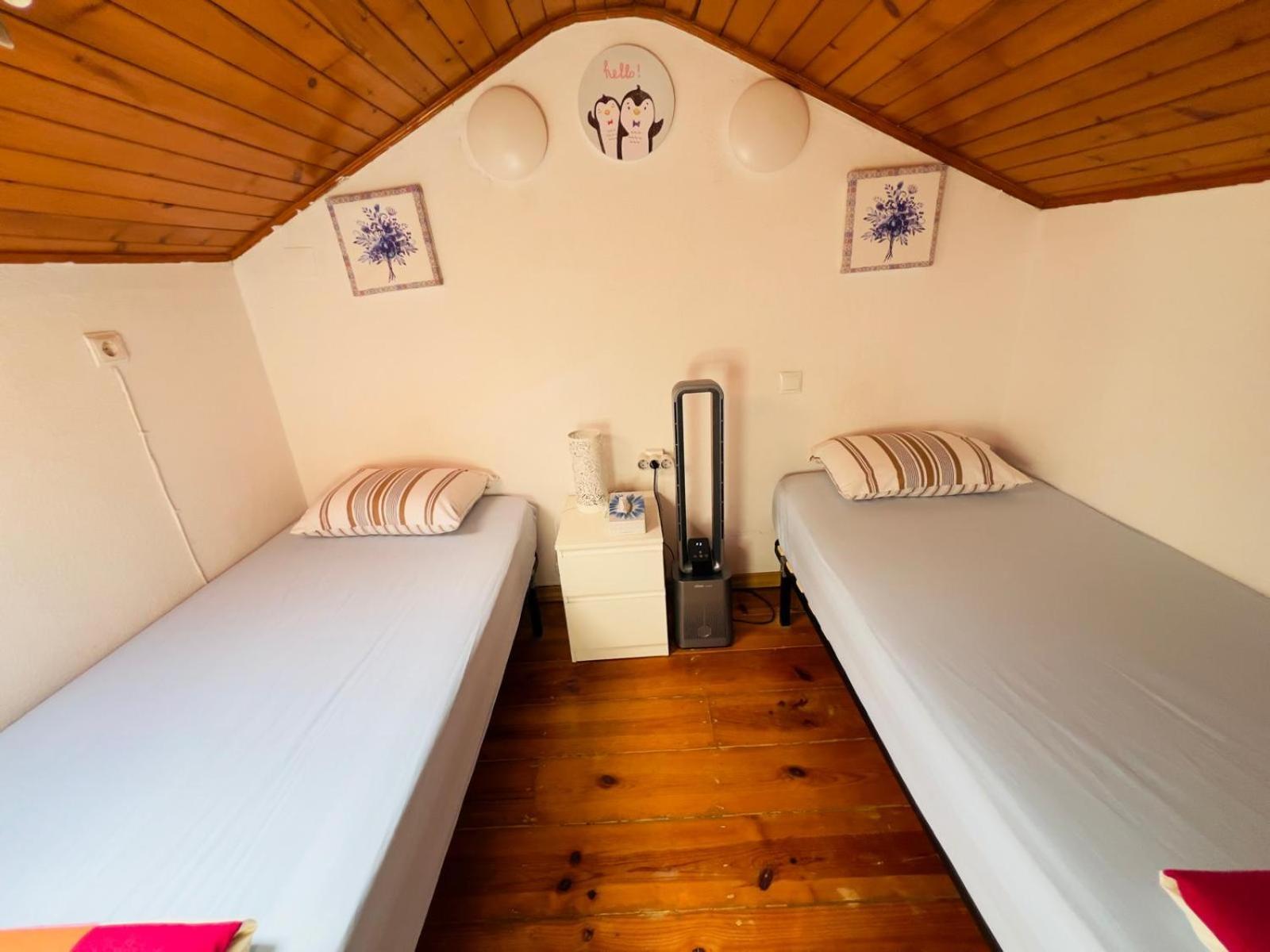 Hostel White House *