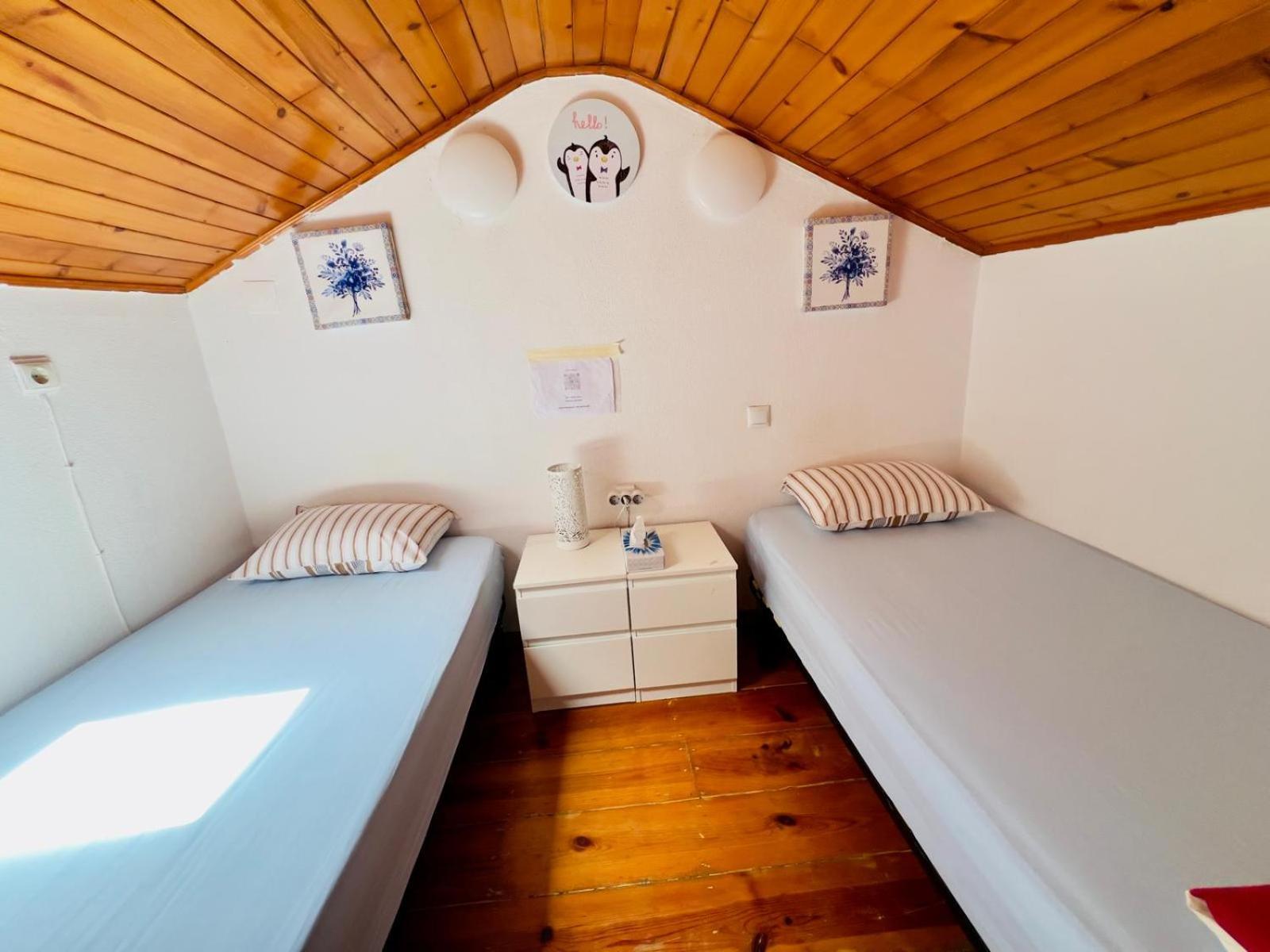 White House Hostel *
